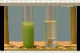 生物实验小视频——胆汁乳化脂肪实验视频封面