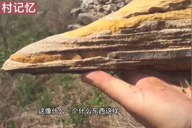 山东大叔上山找带缝的石头，虽然没找到，却有意外的收获，值了视频封面