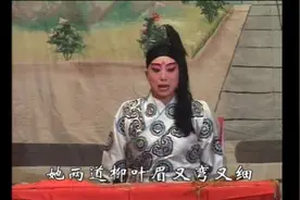 河北北方坠剧化妆坠子《王宝童篡御状续泗水关》05 泗水关招亲