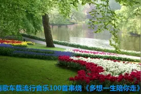 醉美情歌车载流行音乐100首串烧 《多想一生陪你走》视频封面