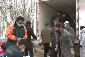 15吨艾草捐赠湖北！青岛热心小伙献出爱心：这批艾草我攒了3年