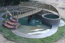 如何自建豪华游泳池