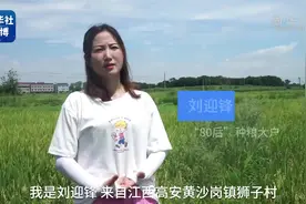 回家种地80后美女成种粮大户图片