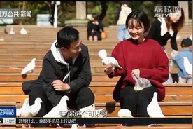 打卡中山陵音乐台！不仅能赏秋景，还能喂可爱“鸽子”