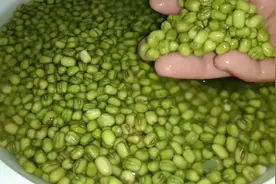 卖绿豆凉粉二十年的亲戚教我在家做绿豆淀粉，以后想吃自己做视频封面