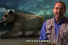 史前巨狮.视频封面