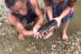 美女沙滩挖坑引水，隔天去现场看，一条大鱼进来，徒手就抓！视频封面