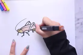 蝈蝈简笔画的画法视频封面