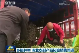 多措并举 湖北农副产品拓宽销售渠道视频封面
