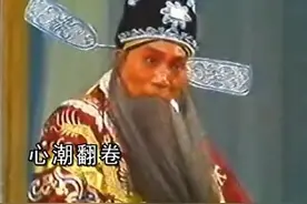 安禄昌 丝弦唱腔 违法者按律令绝不容宽视频封面