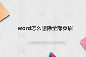 word怎么删除全部页眉视频封面