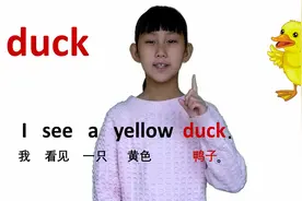 动物篇 duck 鸭子 牛津初中高中小学少儿童英语单词和例句子 常荣