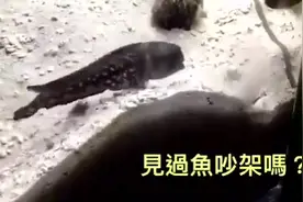 别人向你吐口水怎么办？它俩的做法太逗了!