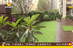 小区圈建“私家花园”，一楼业主被指圈占公共绿地，该如何处理？视频封面