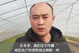 自从学会了制作“肥料”，我家种菜都不用买肥料，省钱还高产