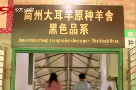 宣汉成农区养牛第一大县，一头牛成为一方热土的“招牌”视频封面