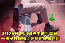 男子坐路边休息，一条蛇钻进他的裤腿，网友称：白娘子来找许仙了视频封面