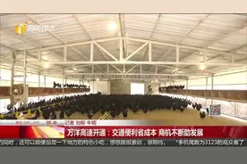 万洋高速开通：交通便利省成本 商机不断助发展视频封面