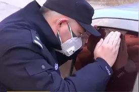 北京：男子非法捕猎斑羚羊，已刑拘｜法治进行时 0309视频封面