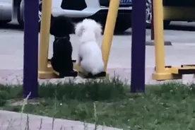 原来这就是独生子女的待遇，还可以这么为所欲为呢哈哈视频封面