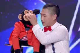 达人秀：这猴子真成精了，调侃搞笑样样行，评委们笑成一团！视频封面