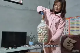 农村风子教你装鸡蛋小妙招，废旧油壶轻松一改，马上变装鸡蛋神器视频封面