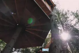 旋转小屋？这树木被外国小哥玩坏了视频封面