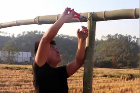 小伙不开货车搞养殖，投资8万养2000多只鸭子，这可不是闹着玩视频封面