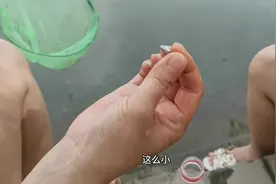 孩子去钓鱼买一包火腿肠做诱耳鱼没钓到几只，火腿肠瞬间被消灭完视频封面