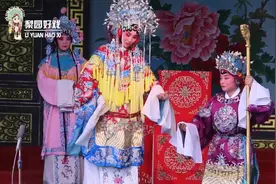豫剧《打金枝》老身双膝跪在地视频封面