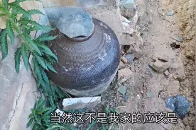 在拆了的土房子边上看到一个没人要的老古董，有人见过没值钱吗？视频封面