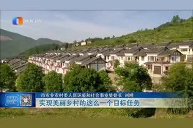 整治农村人居环境 重庆今年确定六项重点任务视频封面