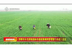 《邯郸市补充耕地指标市级统筹调剂管理暂行办法》出台视频封面