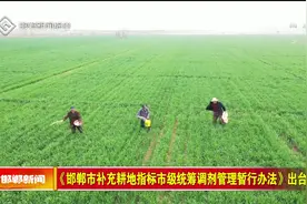 《邯郸市补充耕地指标市级统筹调剂管理暂行办法》出台视频封面