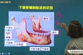 口腔知识01口腔颌面外科学01上下颌骨解剖标志识别，口腔医师要知