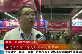 沈视购物节：沈阳十大农业品牌“扎堆儿”，各种优质农产品亮相视频封面
