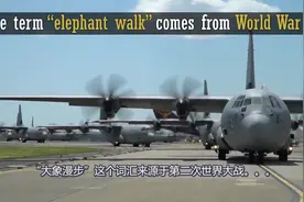 “大象漫步”的由来！视频封面