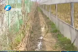 道路规划需“拆棚” 赔偿标准要说清视频封面