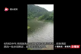 罕见！西沟发现桃花水母，号称“水中大熊猫”