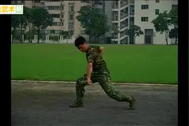 军体格斗组合3：摔法结合擒拿的进攻招式，很好的防身自卫技法视频封面