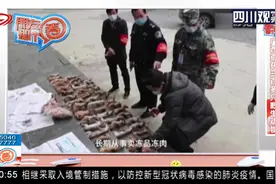 必须严惩！广西查获三百多只野生动物，嫌疑人称春节期间盈利高！视频封面
