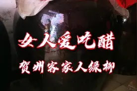 【客家话】想吃醋？大醋坛！一坛600斤！适当吃醋，有益健康！