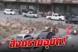 泰国华富里猴子当街打群架！场面太刺激图片