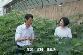 无花果哪个品种种植比较好，新手如何选择？这两个品种不错！
