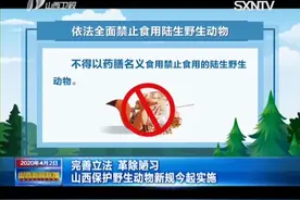 完善立法，革除陋习，山西保护野生动物新规实施|山西新闻联播视频封面