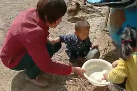 小鸡正在下蛋，又憋回去了咋回事视频封面