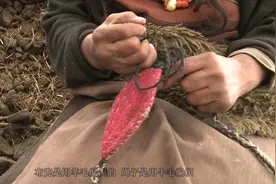 青藏高原上藏族牧民赶牦牛时普遍使用的工具乌尔朵是什么样子视频封面