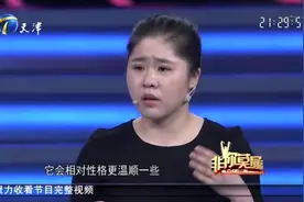 宠物医疗专业女孩登台求职，狗毛过敏寻求转行销售视频封面