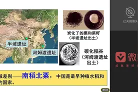 314班历史必修二第一单元第一课发达的古代农业