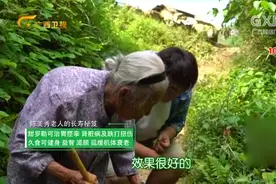 103岁奶奶长寿有秘诀！独特草药简直太神奇丨百寿探秘20190319视频封面